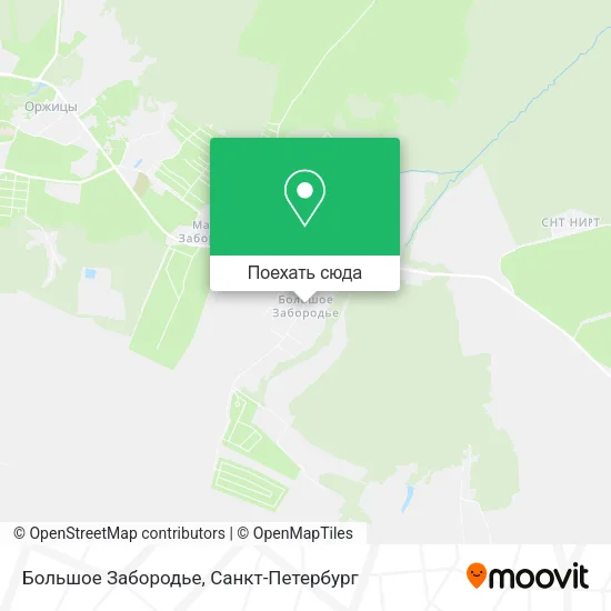Карта Большое Забородье
