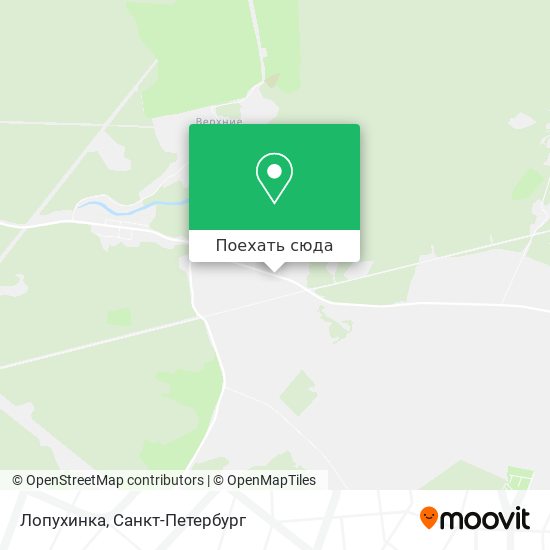Карта Лопухинка