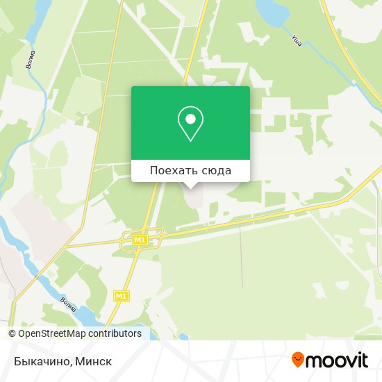 Карта Быкачино