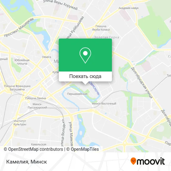 Карта Камелия