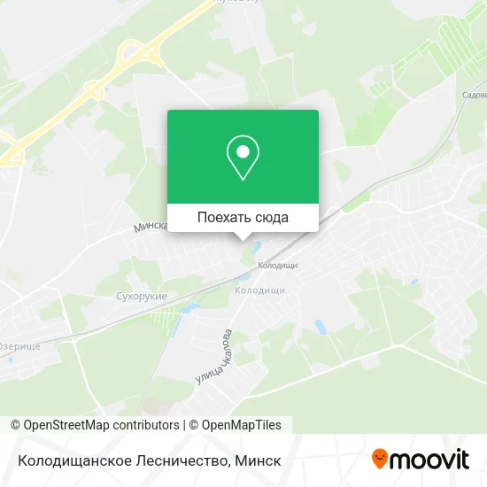 Карта Колодищанское Лесничество