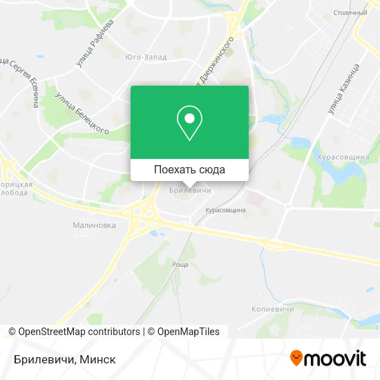 Карта Брилевичи
