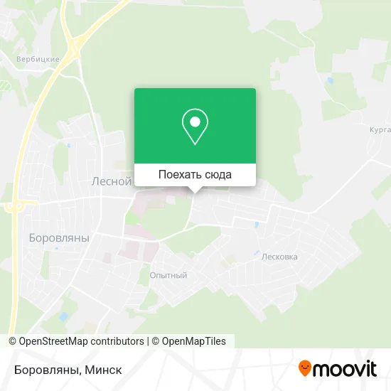 Карта Боровляны
