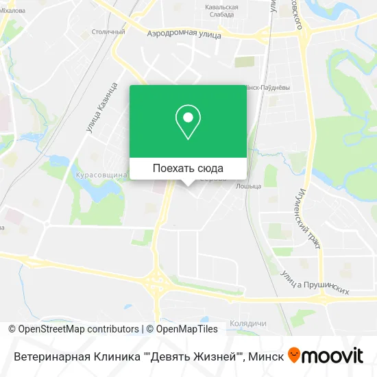 Карта Ветеринарная Клиника ""Девять Жизней""