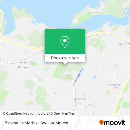 Карта Вясковыя Могілкі Качына