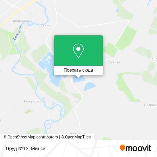 Карта Пруд №12