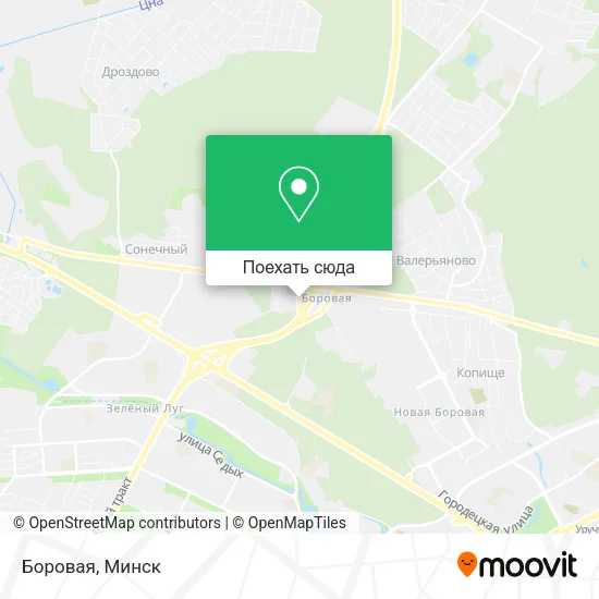 Карта Боровая