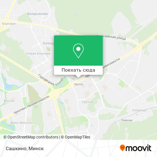 Карта Сашкино