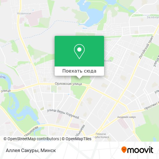 Карта Аллея Сакуры