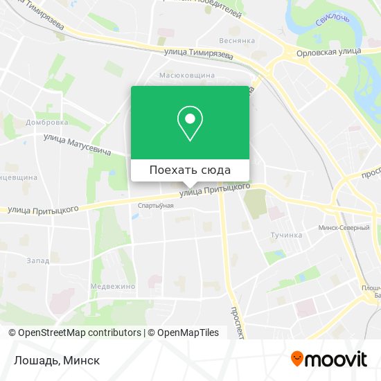 Карта Лошадь
