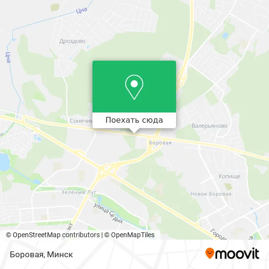 Карта Боровая