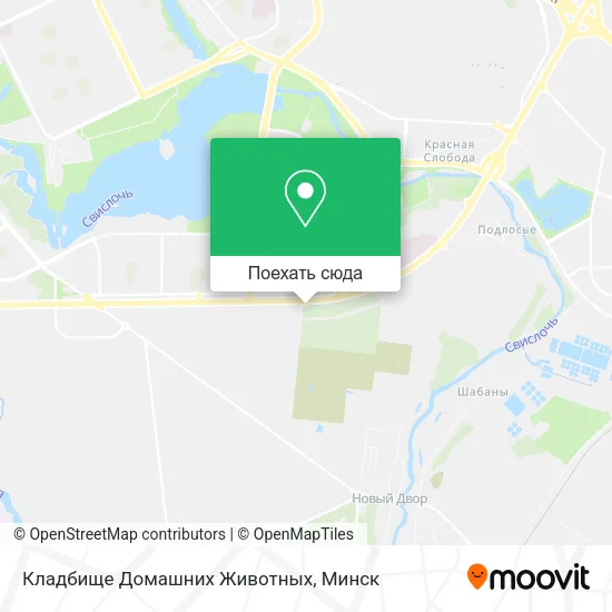 Карта Кладбище Домашних Животных