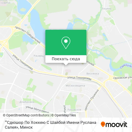 Карта ""Сдюшор По Хоккею С Шайбой Имени Руслана Салея»