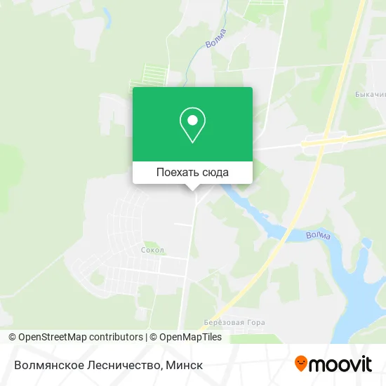 Карта Волмянское Лесничество