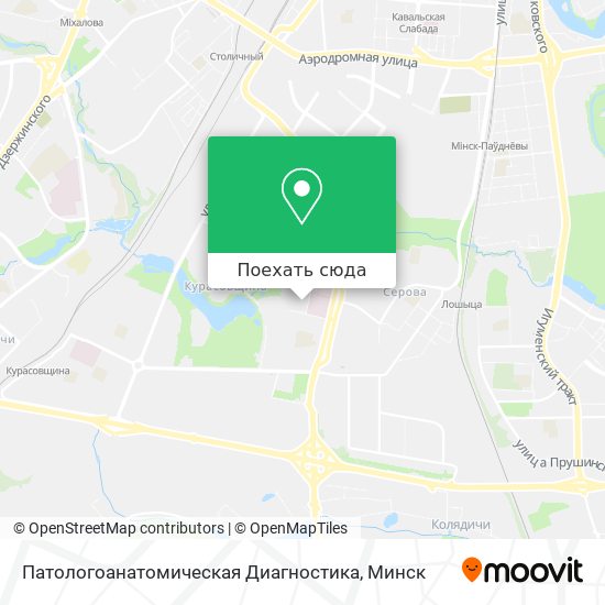 Карта Патологоанатомическая Диагностика