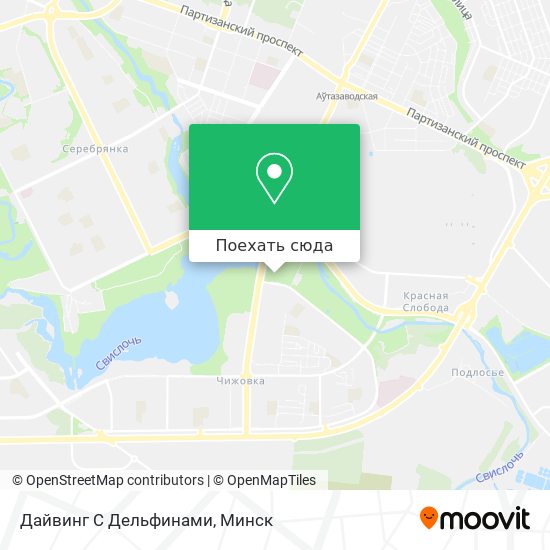 Карта Дайвинг С Дельфинами