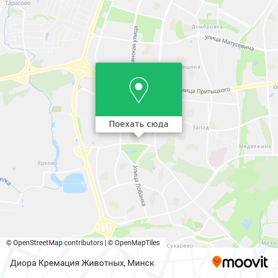 Карта Диора Кремация Животных
