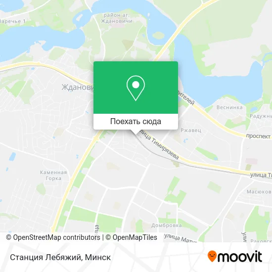 Карта Станция Лебяжий
