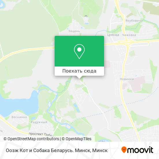 Карта Оозж Кот и Собака Беларусь. Минск