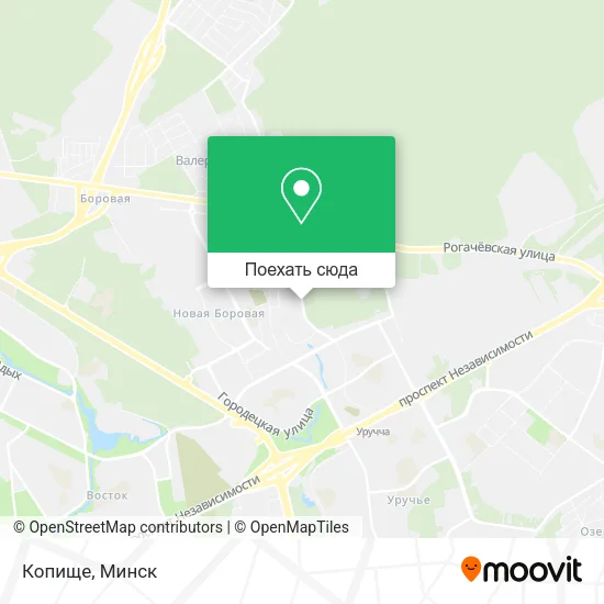 Карта Копище