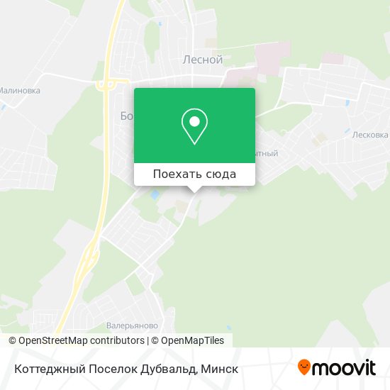 Карта Коттеджный Поселок Дубвальд
