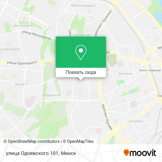Карта улица Одоевского 101