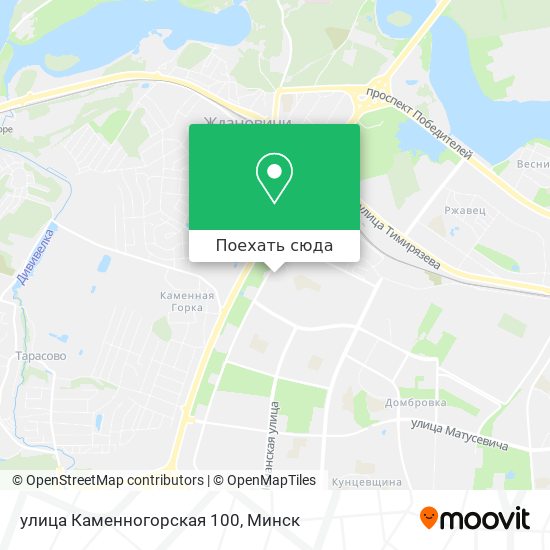 Карта улица Каменногорская 100