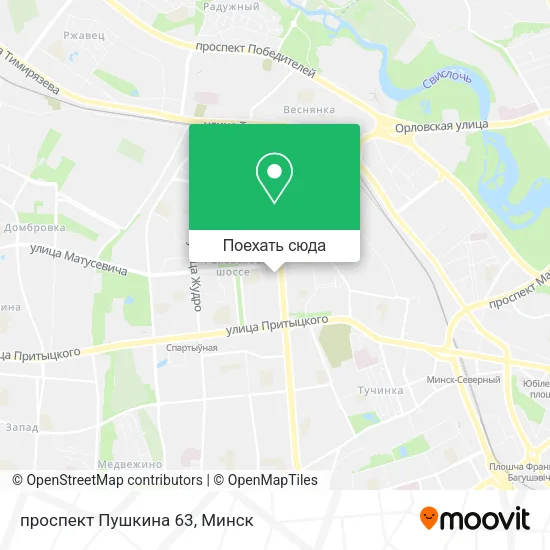 Карта проспект Пушкина 63