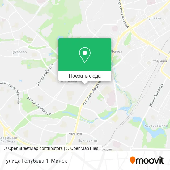 Карта улица Голубева 1
