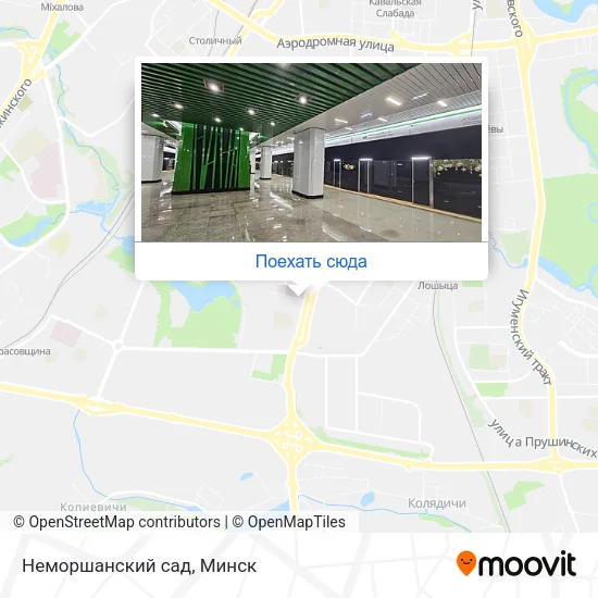 Карта Неморшанский сад