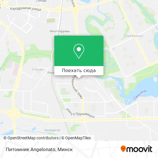 Карта Питомник Angelonato