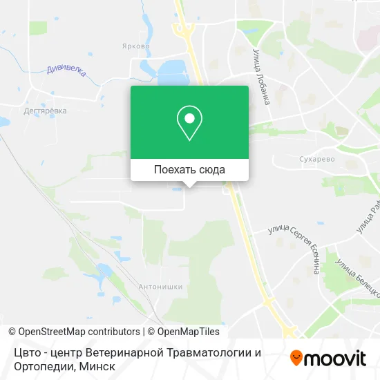 Карта Цвто - центр Ветеринарной Травматологии и Ортопедии