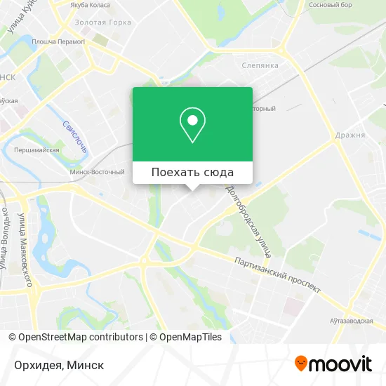 Карта Орхидея