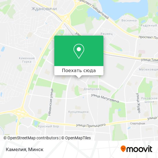 Карта Камелия