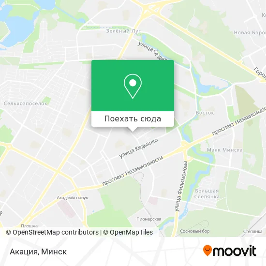 Карта Акация