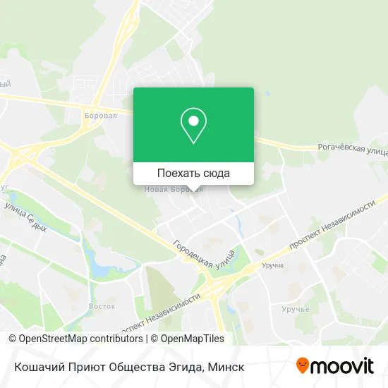 Карта Кошачий Приют Общества Эгида