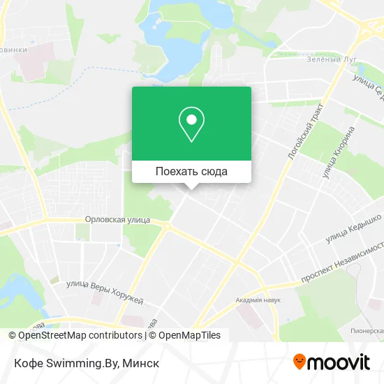 Карта Кофе Swimming.By