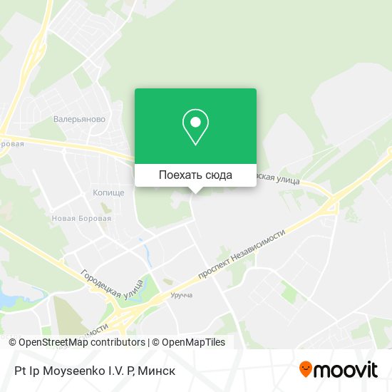 Карта Pt Ip Moyseenko I.V. P