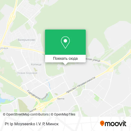 Карта Pt Ip Moyseenko I.V. P