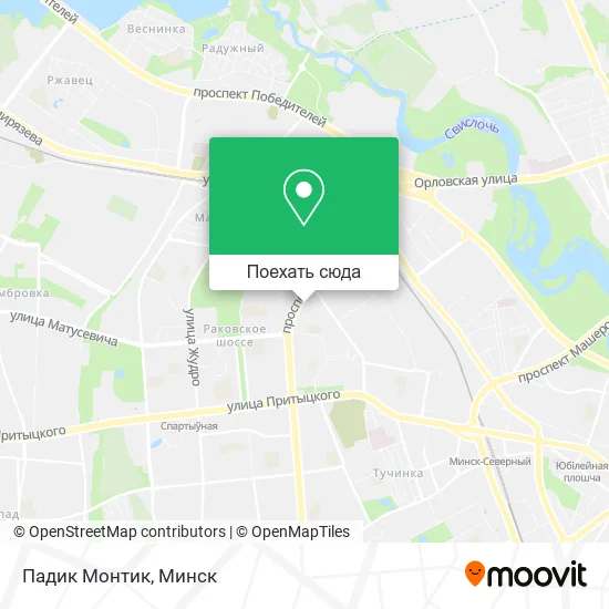 Карта Падик Монтик