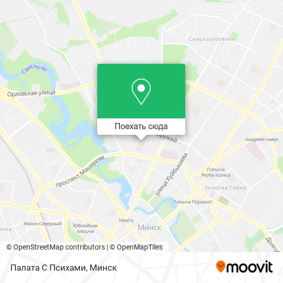 Карта Палата С Психами