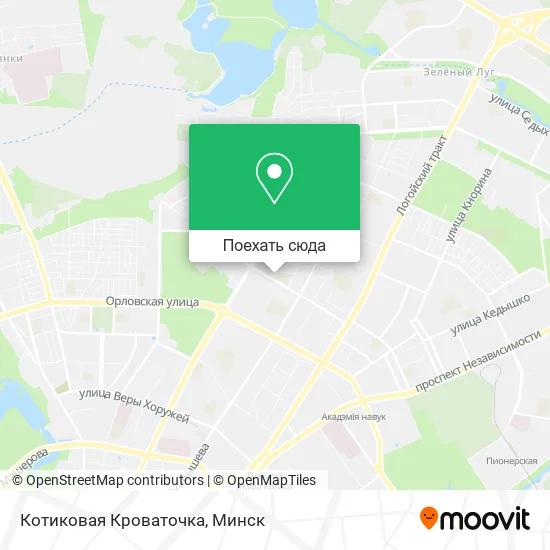 Карта Котиковая Кроваточка