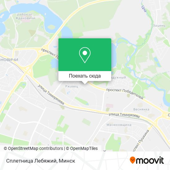 Карта Сплетница Лебяжий