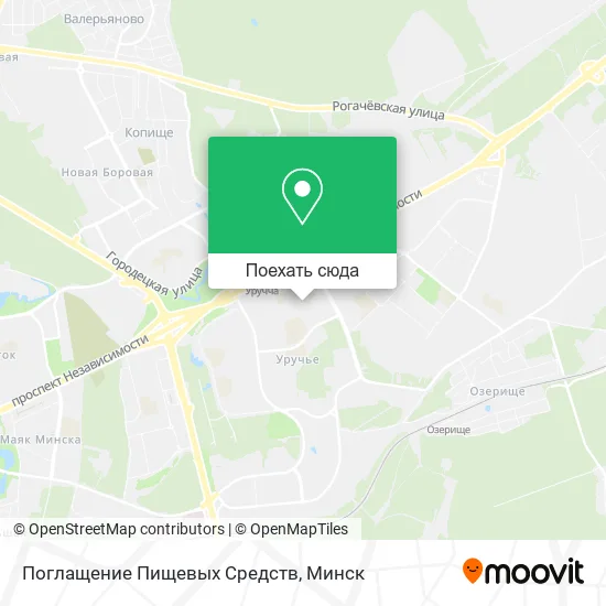 Карта Поглащение Пищевых Средств