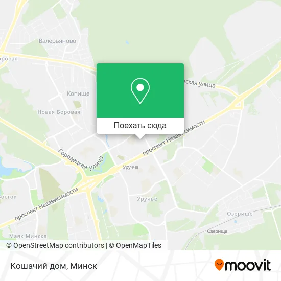 Карта Кошачий дом