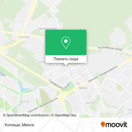 Карта Копище
