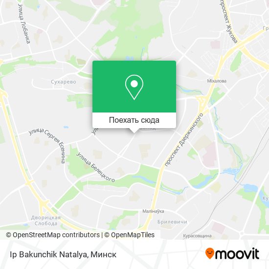 Карта Ip Bakunchik Natalya