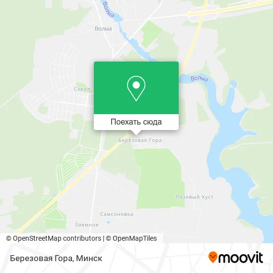 Карта Березовая Гора