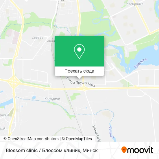 Карта Blossom clinic / Блоссом клиник