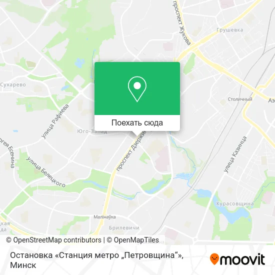 Карта Остановка «Станция метро „Петровщина“»
